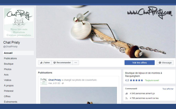 page facebook chat pristy